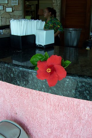 mexiko2005 062.jpg