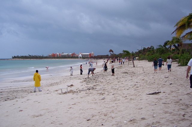 mexiko2005 098.jpg