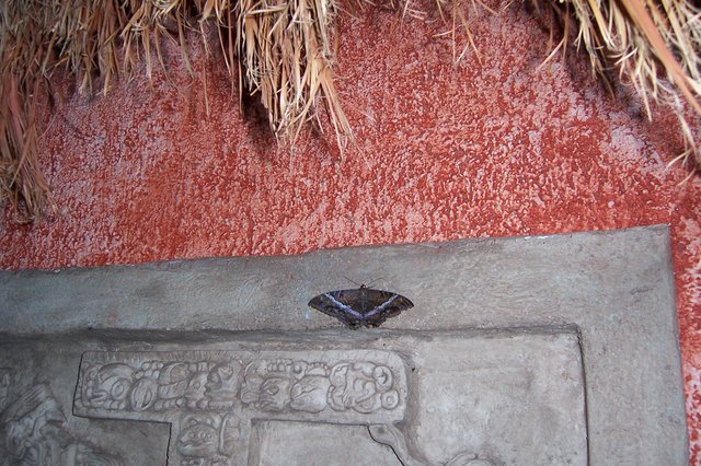 mexiko2005 111.jpg