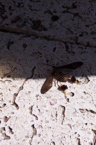 mexiko2005 116.jpg